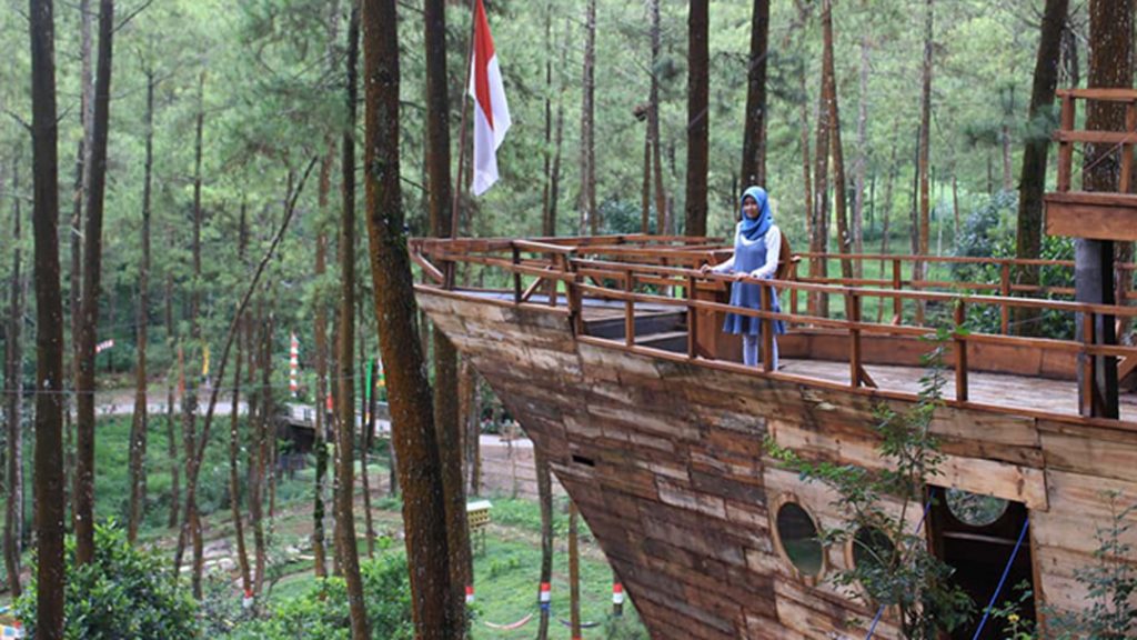 5 Wisata Hutan Pinus Keren di Malang Raya - Berita Malang Raya | WEAREMANIA